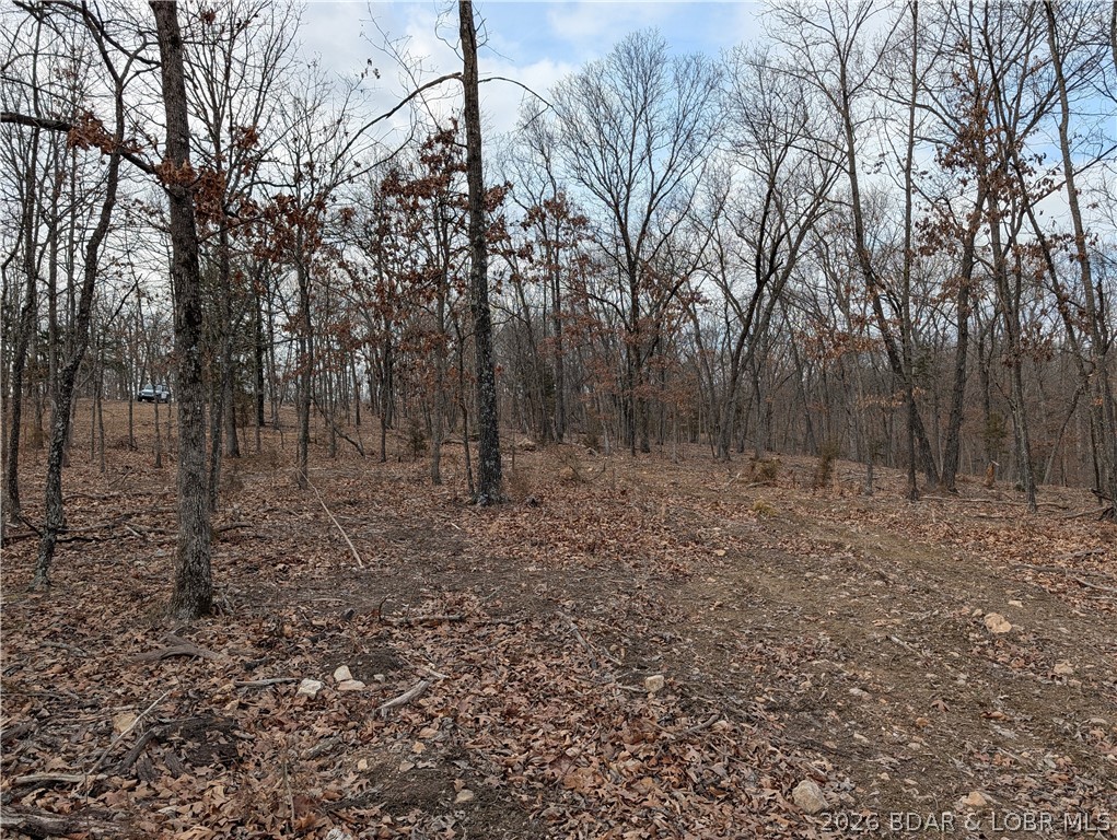 B B West Ridge Sunrise Beach, MO 65079 - Photo 9 of 17