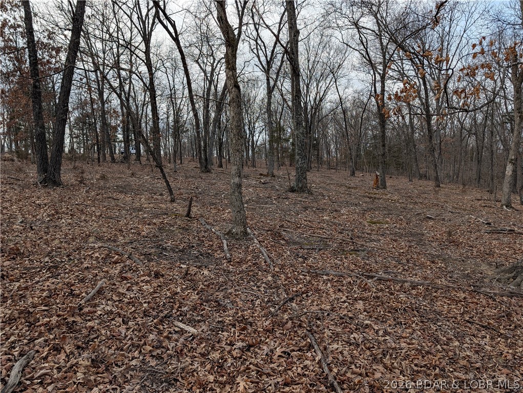 B B West Ridge Sunrise Beach, MO 65079 - Photo 10 of 17