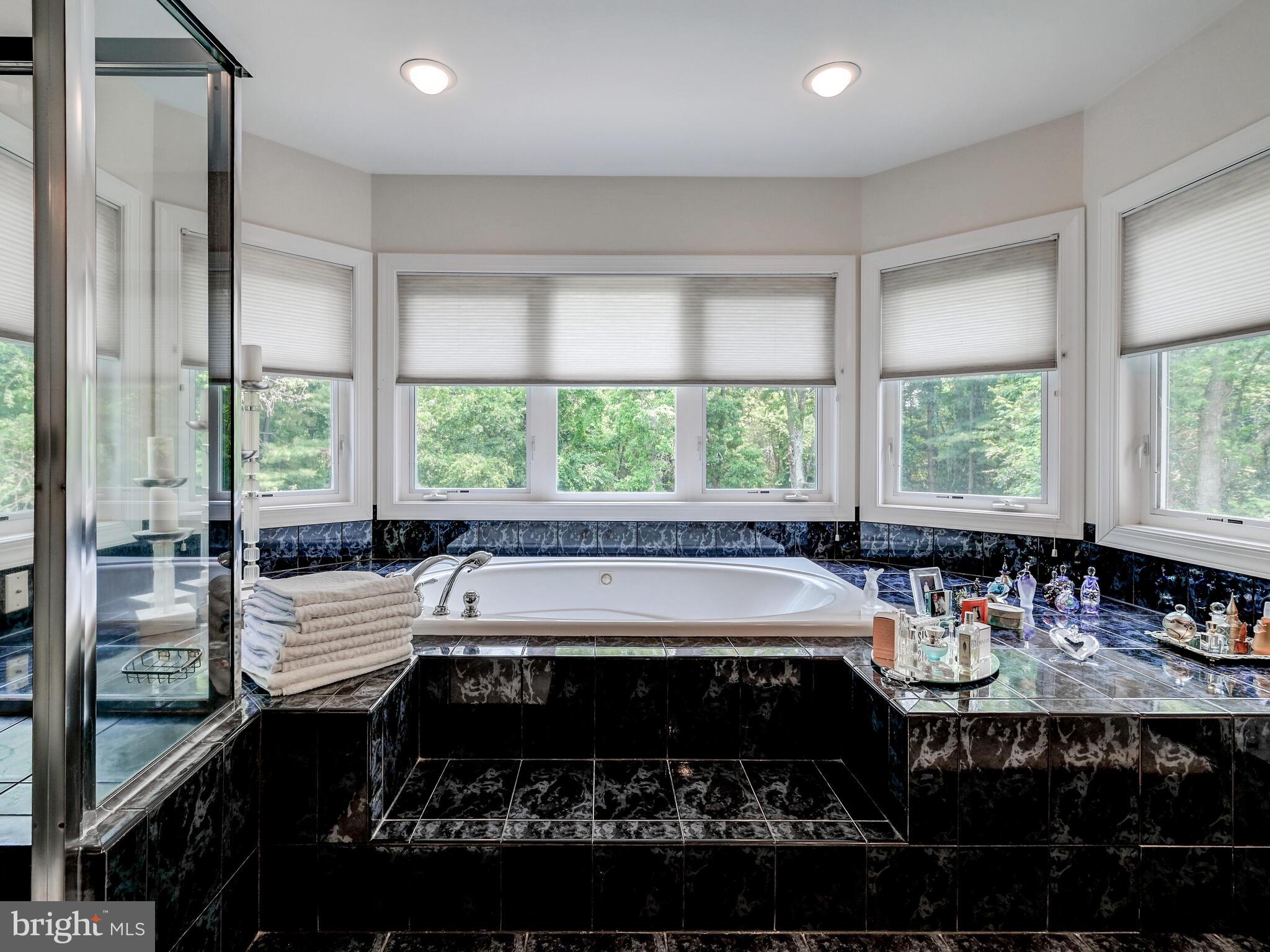 2807 Baublitz Road Owings Mills, MD 21117 - Photo 33 of 51 Jetted Tub