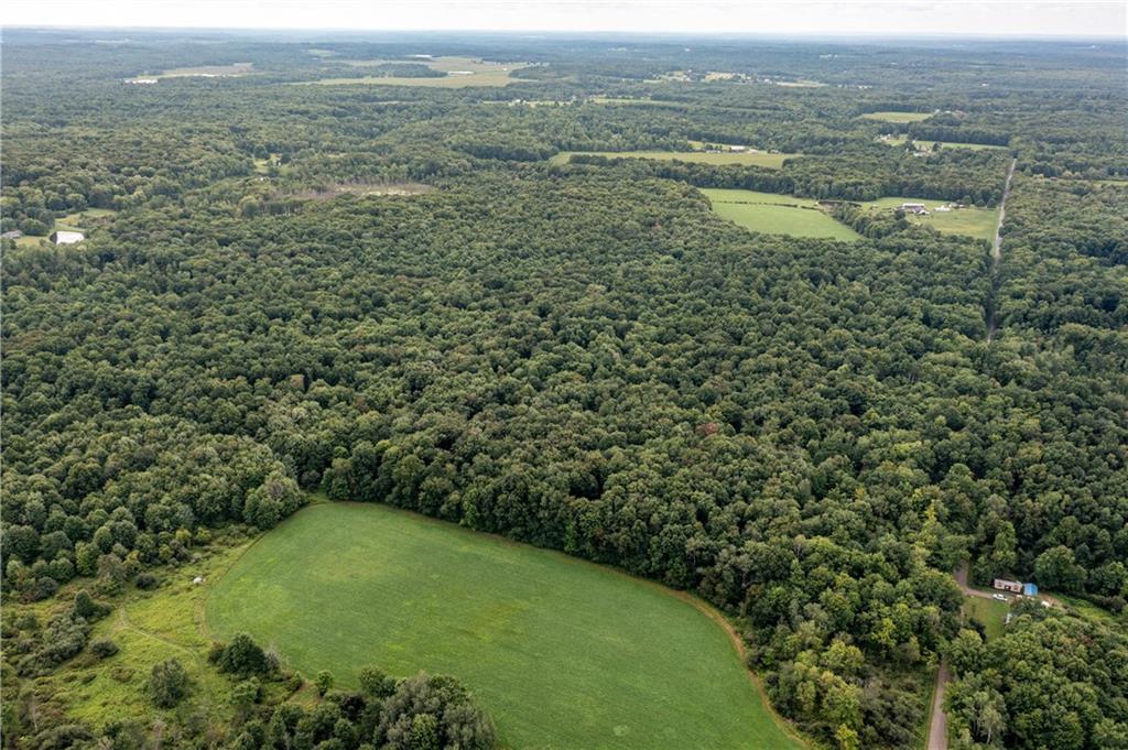 0 Lyons Road Stoneboro, PA 16153 - Photo 9 of 19 a view of a green field with lots of trees