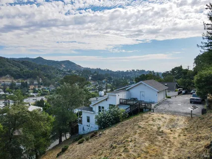 a view of a yard with a tree