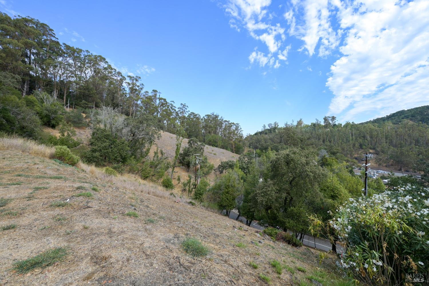 57 Fair Drive San Rafael, CA 94901 - Photo 20 of 41