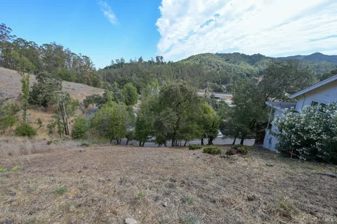 a view of a dry yard with trees