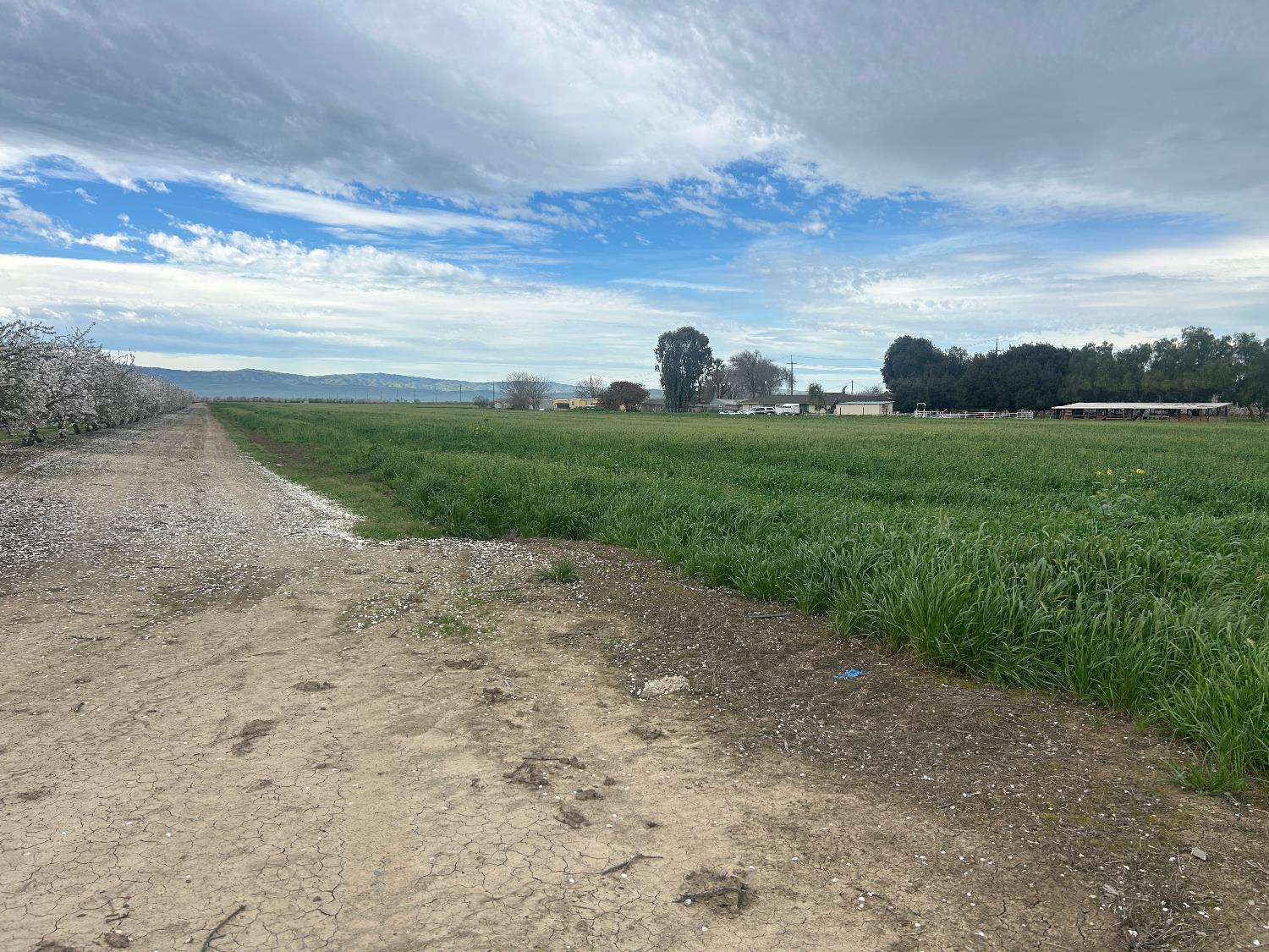 25687 Kasson Road Tracy, CA 95304 - Photo 2 of 4 a view of an outdoor space and yard