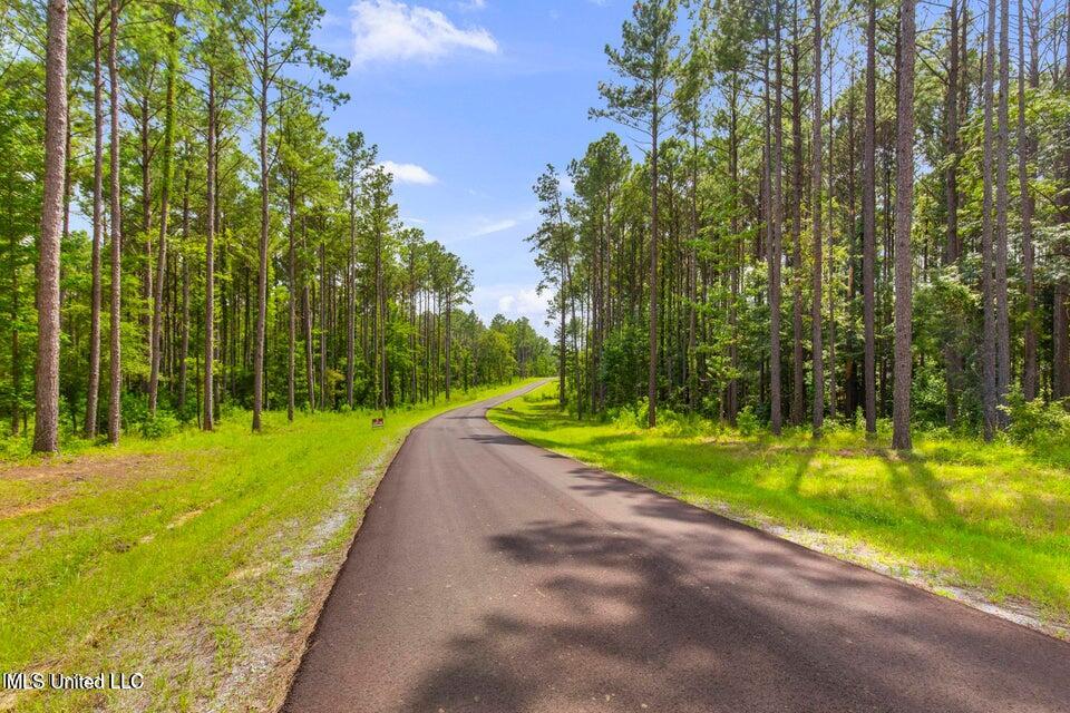 Springwood Trail Flora, MS 39071 - Photo 15 of 24 20250729022525784411000000-o
