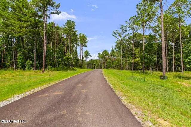 $220,000 | Springwood Trail, Flora, MS 39071