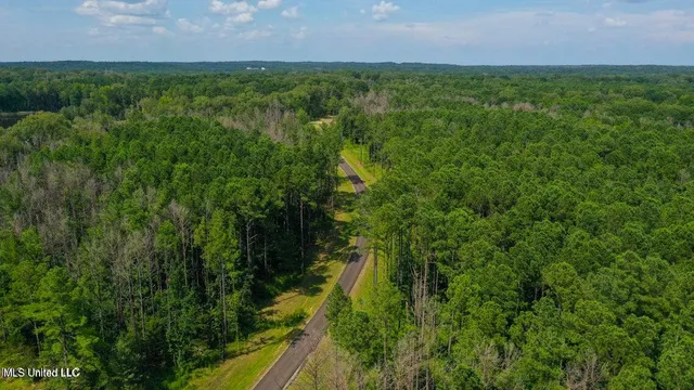 $220,000 | Springwood Trail, Flora, MS 39071
