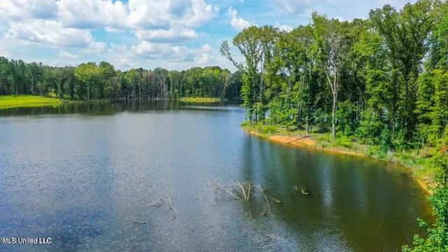 $220,000 | Springwood Trail, Flora, MS 39071
