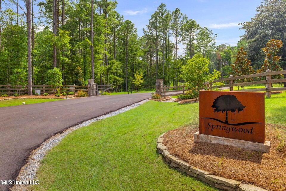 Springwood Trail Flora, MS 39071 - Photo 4 of 24 20250729022450839861000000-o