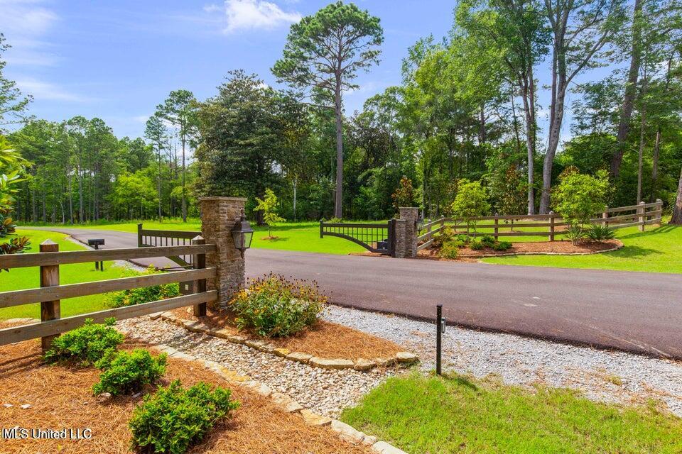 Springwood Trail Flora, MS 39071 - Photo 5 of 24 20250729022508309423000000-o