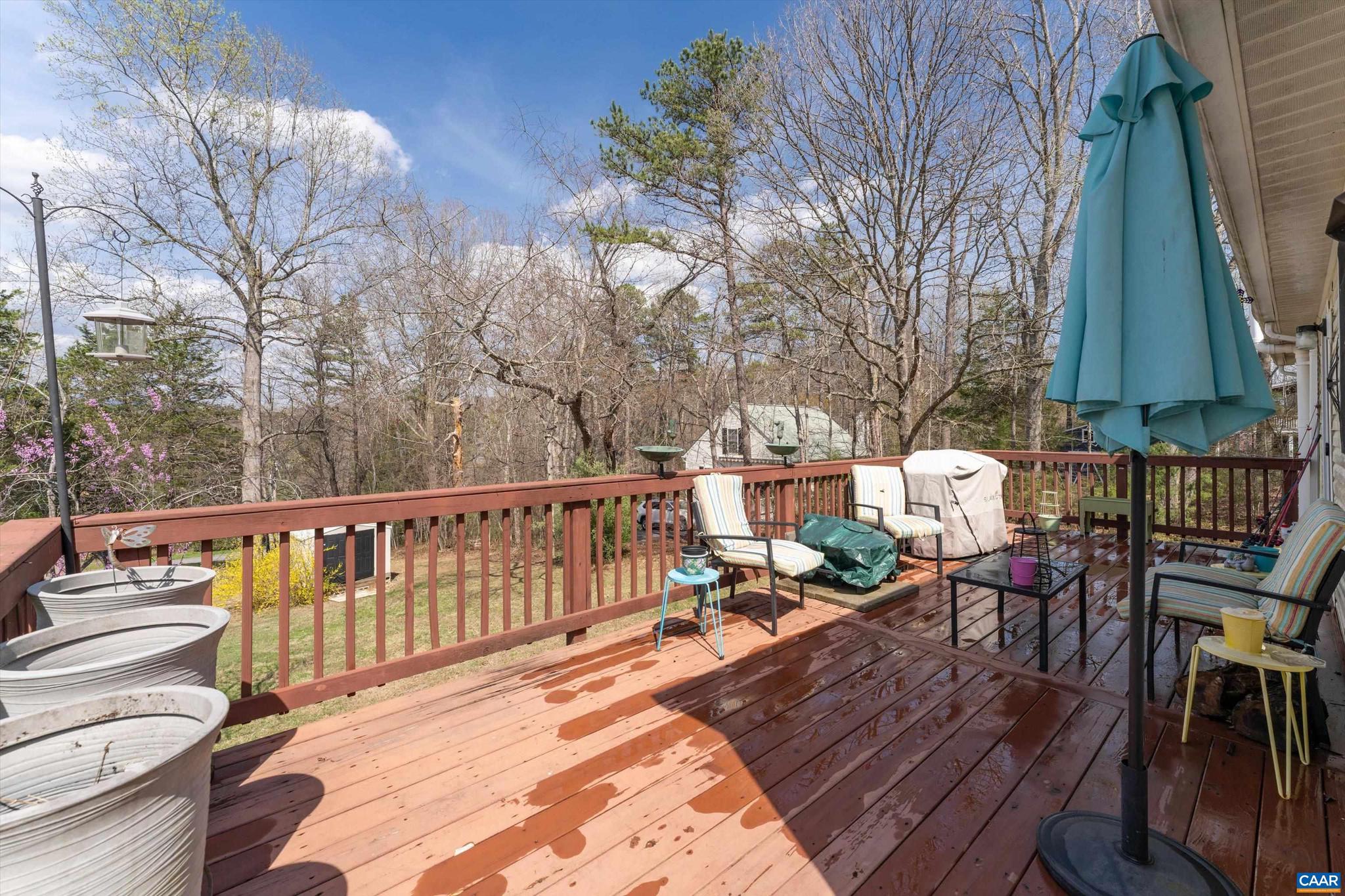 5343 Amicus Road Ruckersville, VA 22968 - Photo 46 of 49