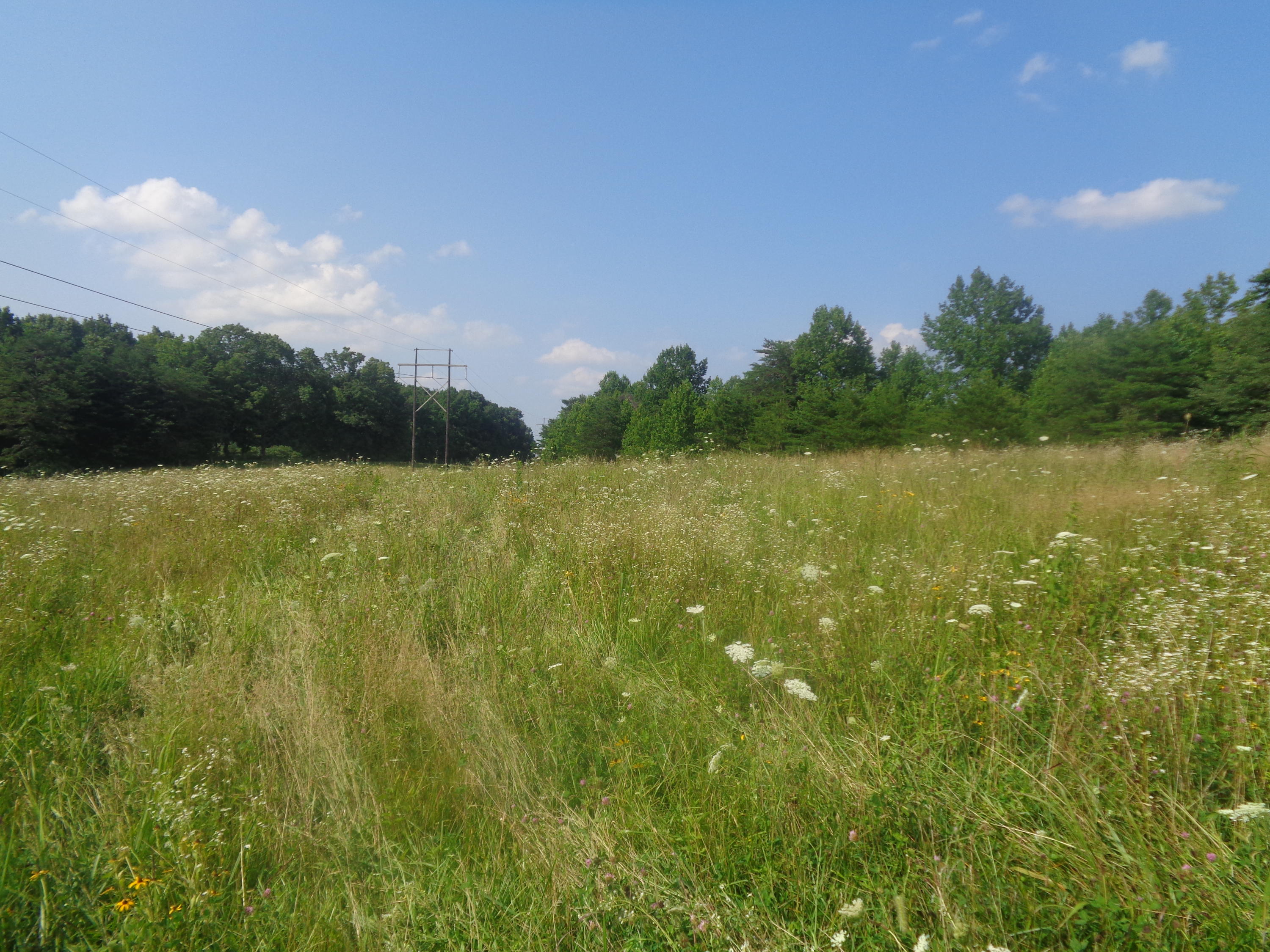 1468 County Farm Road London, KY 40741 - Photo 4 of 26 DSC05389