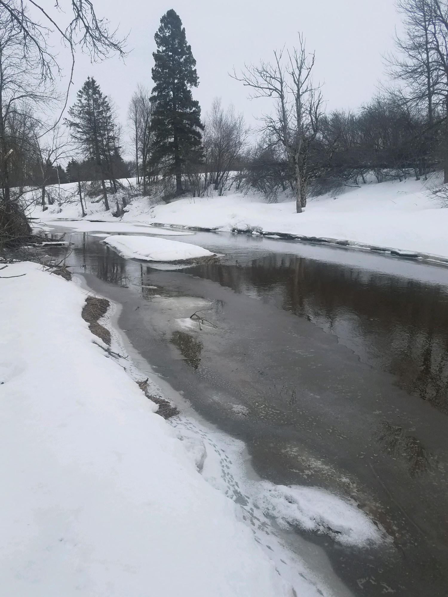 32-acres South Ridge Road Sault Ste. Marie, MI 49783 - Photo 10 of 20 Gallery Image 10
