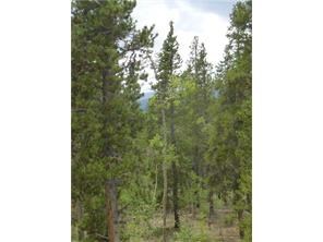 625 Beaver Ridge Road Fairplay, CO 80440 - Photo 2 of 4 Gallery Image 2