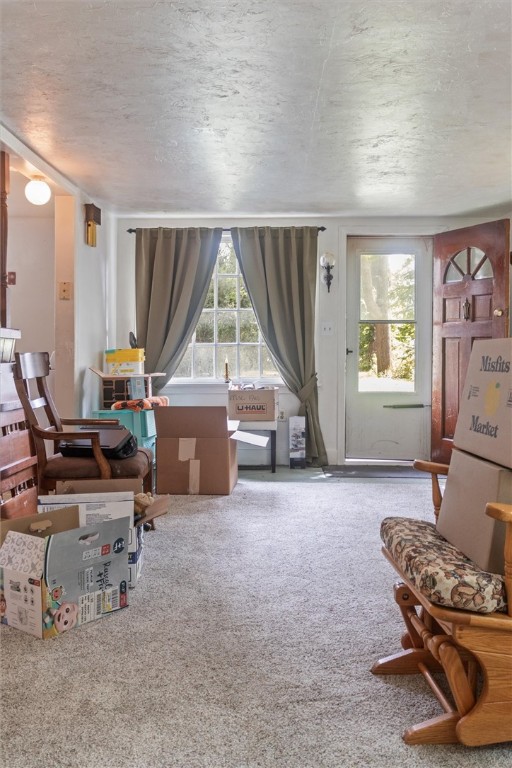 117 Madison Street Arcadia, NY 14513 - Photo 38 of 48 back house living room