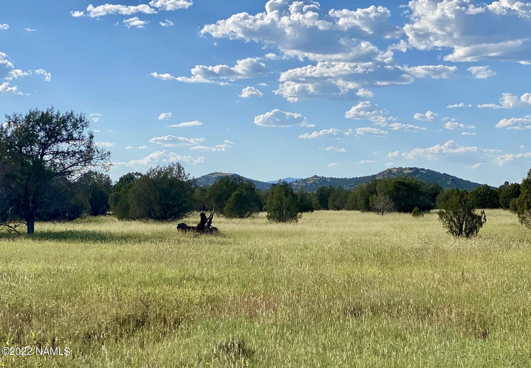 2777 West Plate Road, Unit 149 Williams, AZ 86046 - Photo 1 of 1 144EB167-E1AE-4871-B2DD-4D9321D968DE_1_2