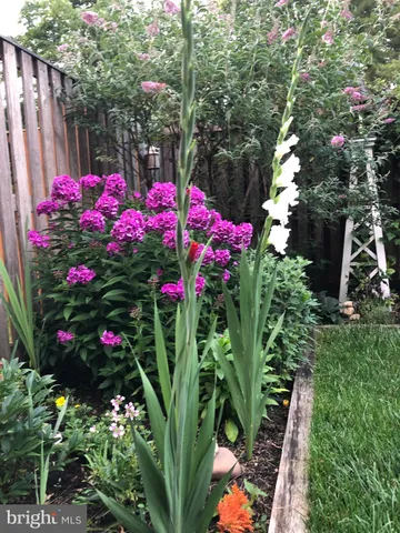 a view of a flower arrangement in backyard of a house