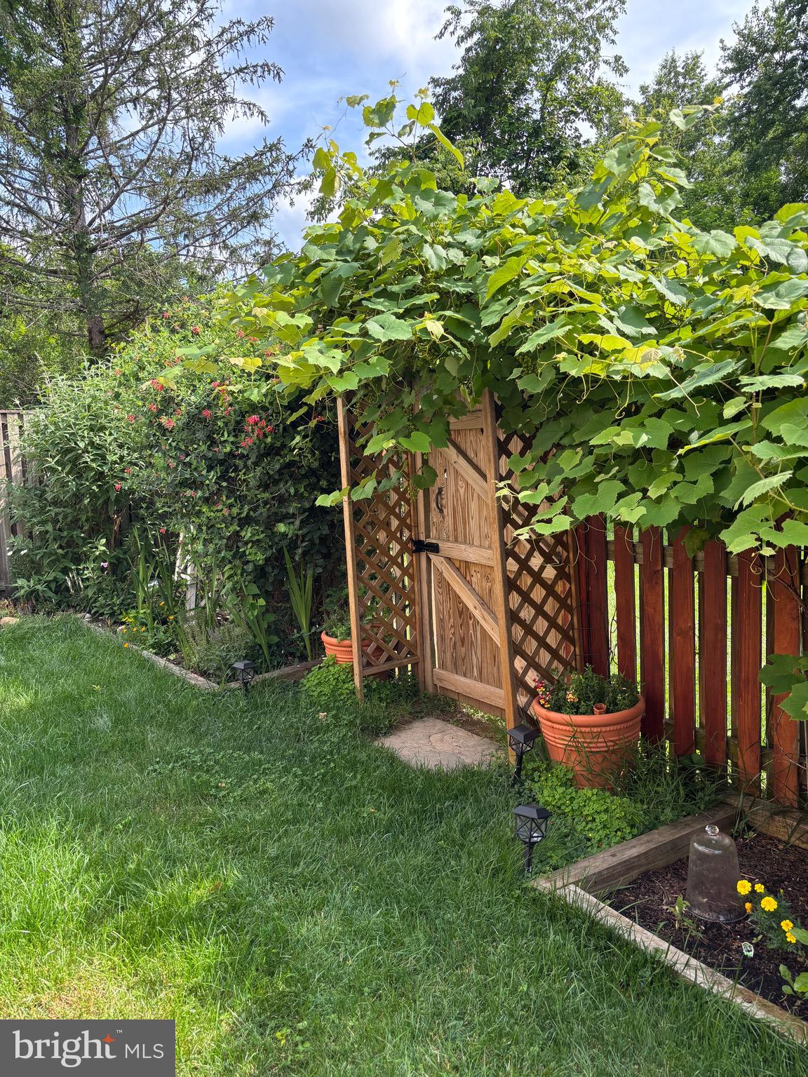 2 Berkeley Court Sterling, VA 20165 - Photo 39 of 46 a view of a backyard with plants and large trees