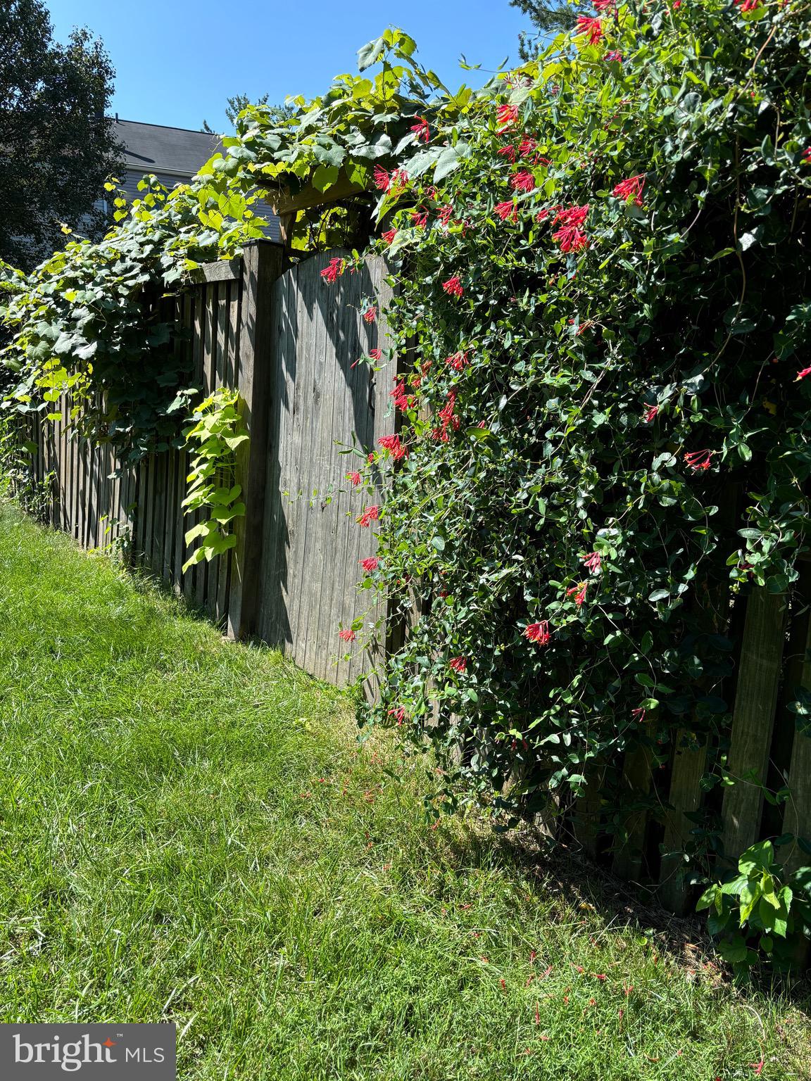 2 Berkeley Court Sterling, VA 20165 - Photo 41 of 46 a backyard of a house with lots of green space
