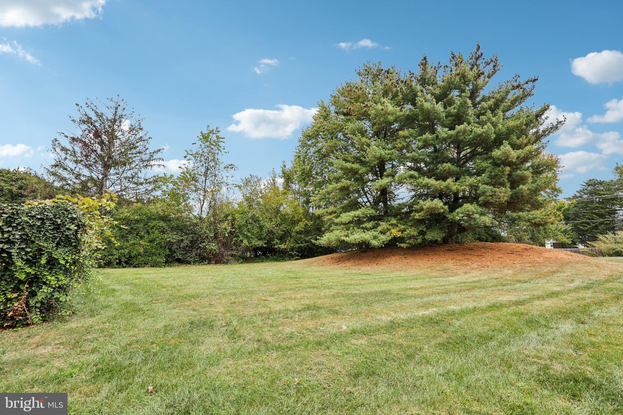 2 Berkeley Court Sterling, VA 20165 - Photo 45 of 46 a backyard of a house with lots of green space