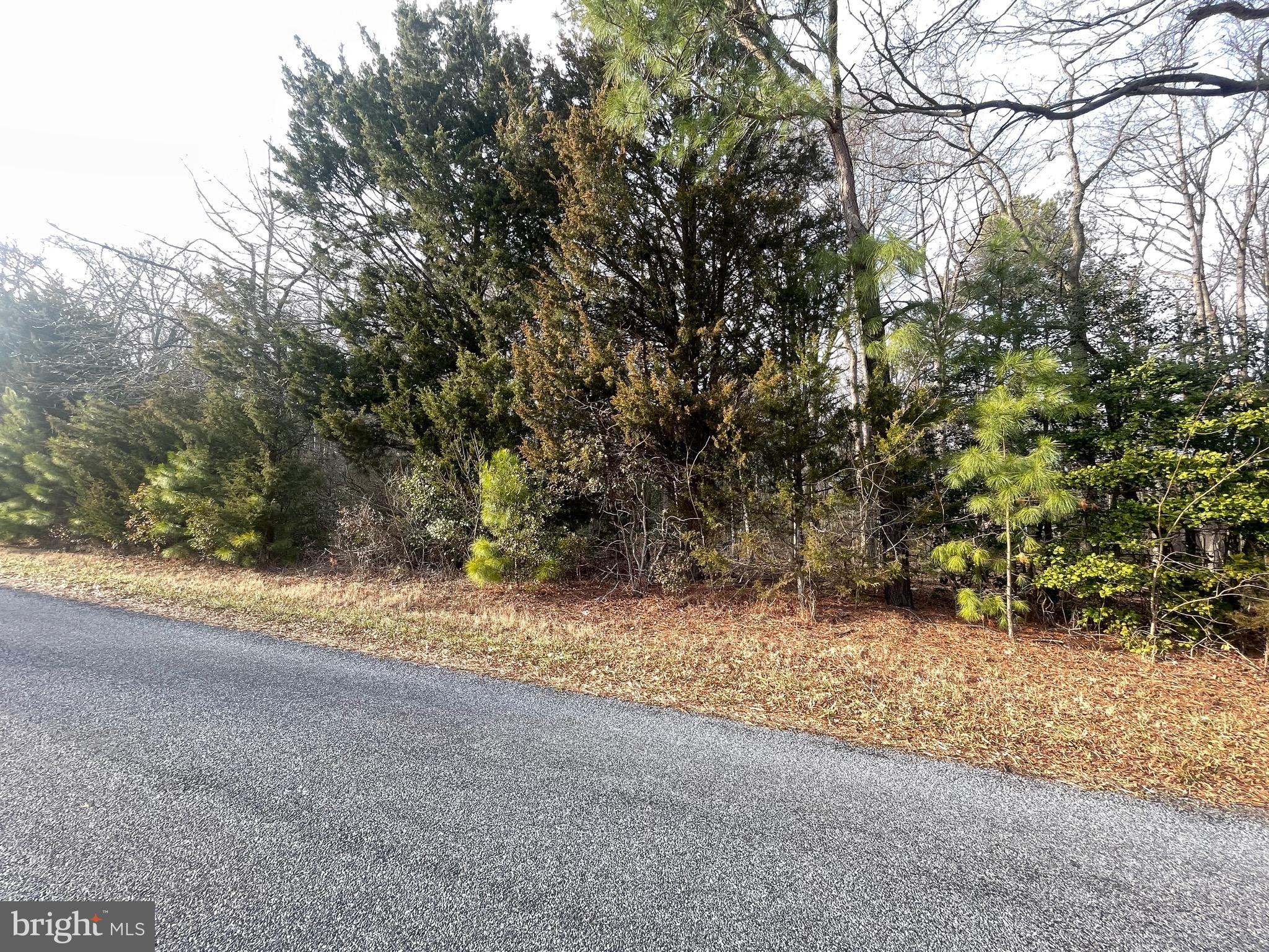 Lot 2 Pickering Beach Road Dover, DE 19901 - Photo 1 of 24 Gallery Image 1