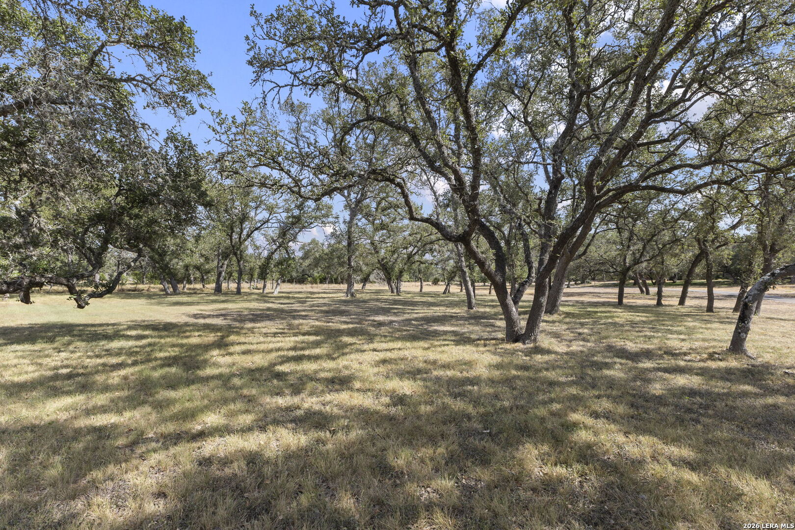 4708 Ammann Road Bulverde, TX 78163 - Photo 7 of 50 Gallery Image 7