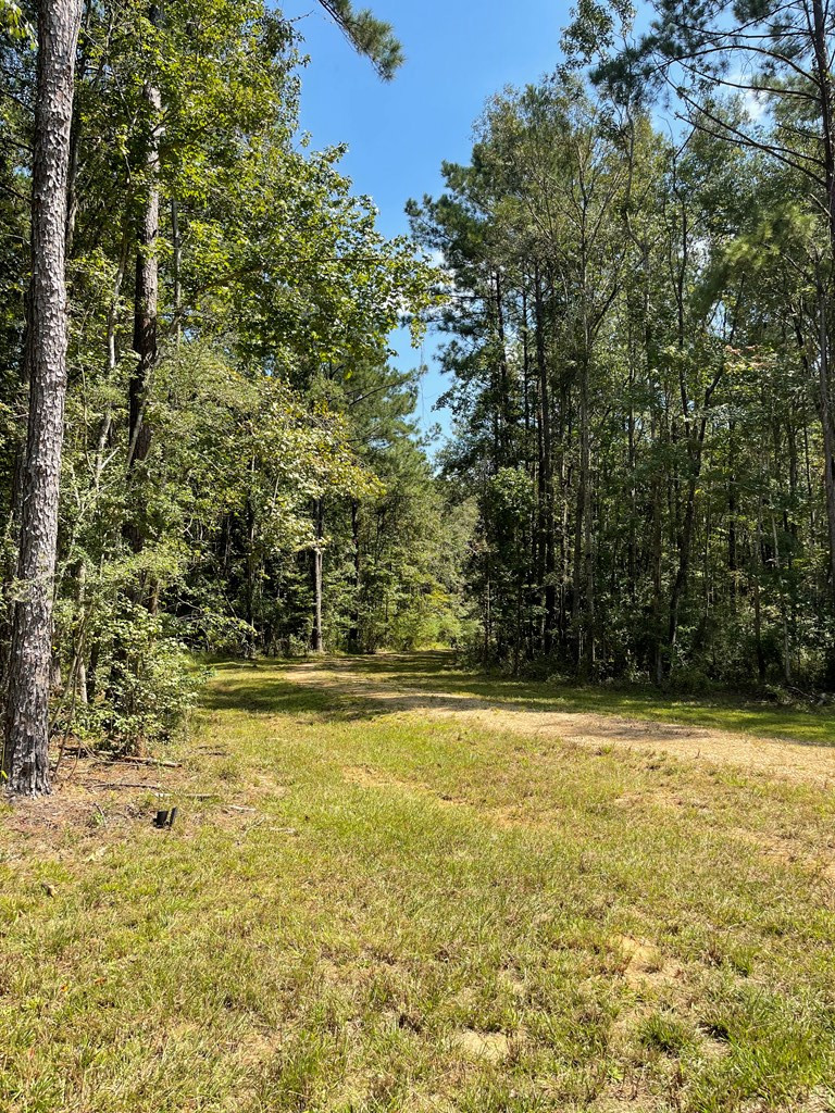 5156 Meadville Road Liberty, MS 39645 - Photo 4 of 15 Photo 4