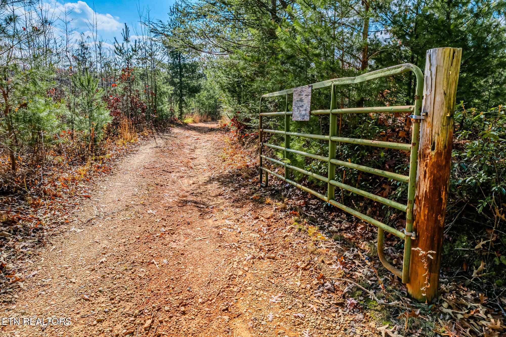 0 Pond Ridge Road Tellico Plains, TN 37385 - Photo 4 of 32