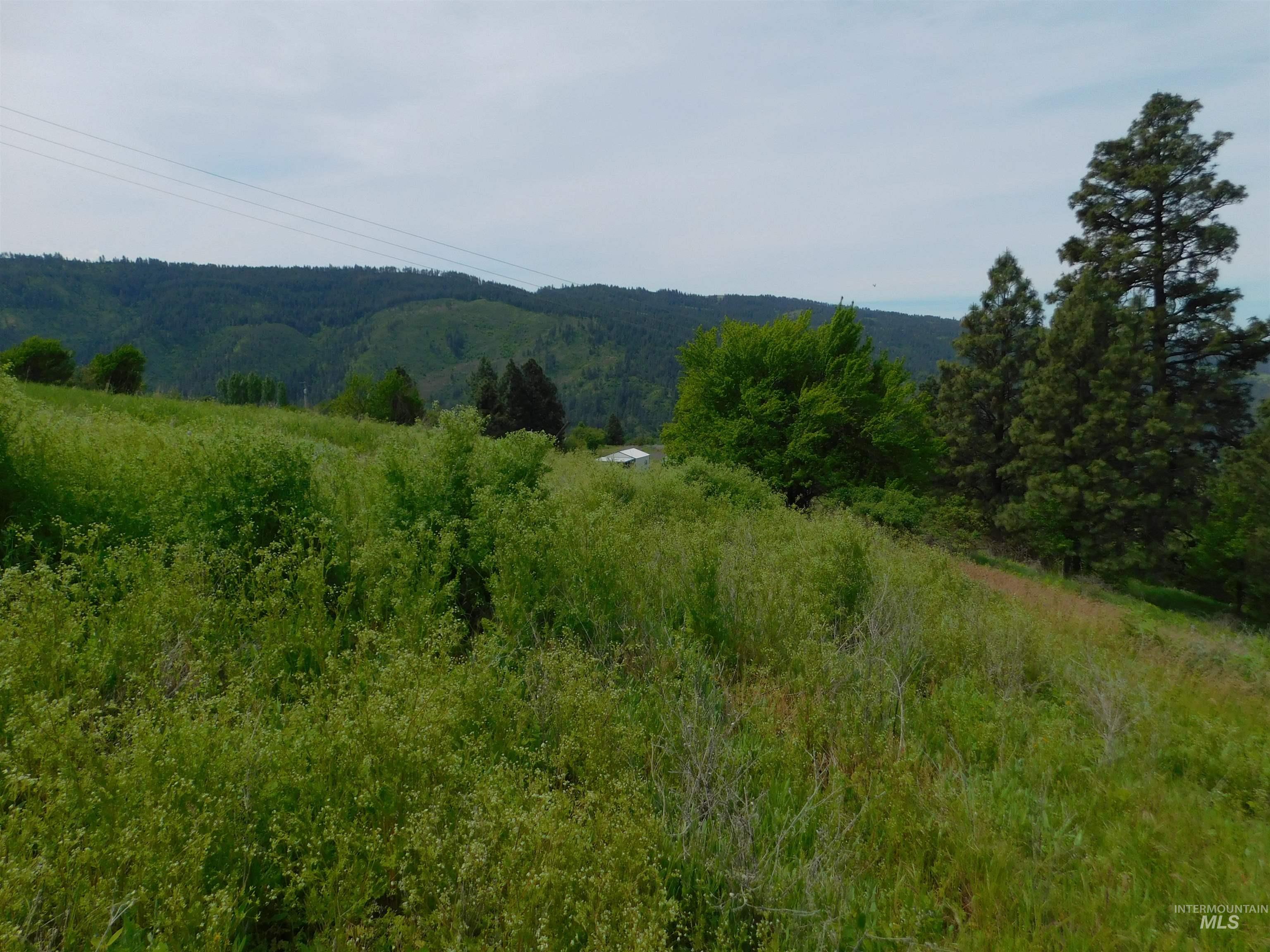 Tbd Sunnyside Bench Road Lenore, ID 83541 - Photo 11 of 11