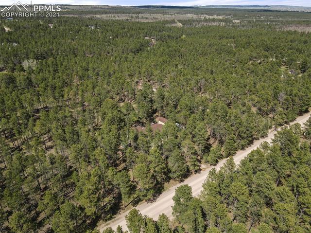 12115 Greentree Road Colorado Springs, CO 80908 - Photo 7 of 46