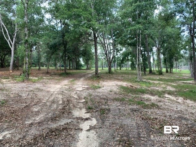0 Leiterman Road Elberta, AL 36530 - Photo 12 of 13