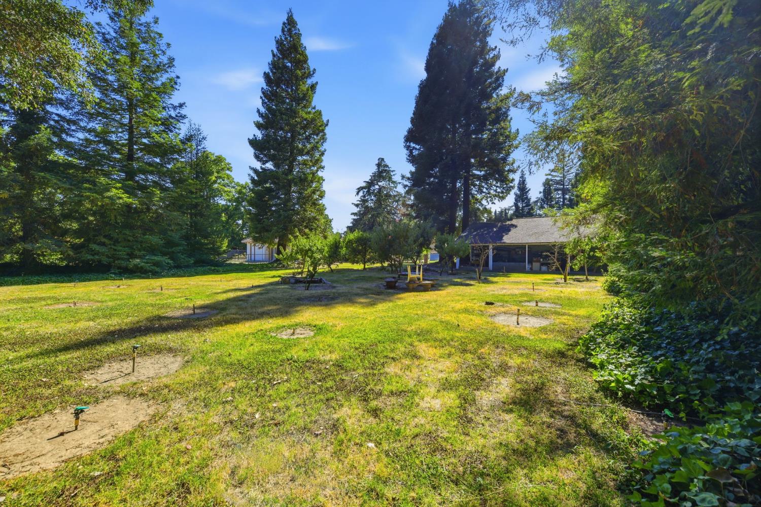 3012 Root Avenue Carmichael, CA 95608 - Photo 65 of 76