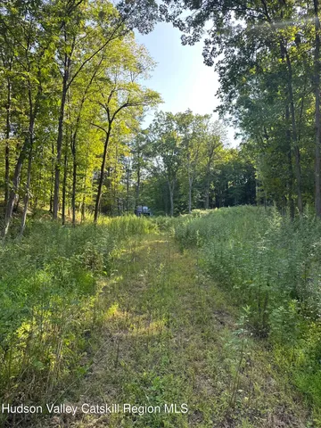 a view of outdoor space and yard