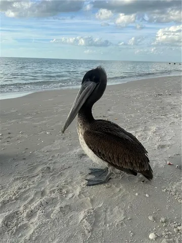 $789,000 | 6135 Montelena Circle, Unit 3103, Naples, FL 34119