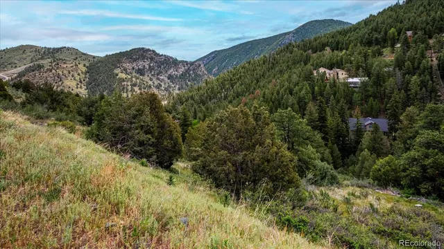 a view of a forest with a mountain