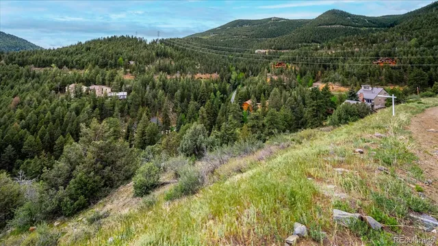 a view of a lush green forest with trees and houses