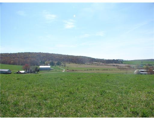 Lot 8 Coffman Road Acme, PA 15610 - Photo 1 of 11 Land/Lot.