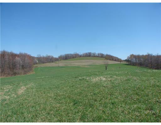 Lot 8 Coffman Road Acme, PA 15610 - Photo 4 of 11 Land/Lot.