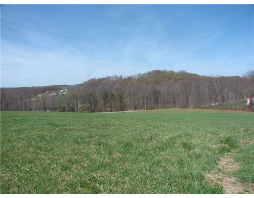 Lot 8 Coffman Road Acme, PA 15610 - Photo 5 of 11 Land/Lot.