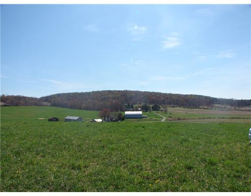 Lot 8 Coffman Road Acme, PA 15610 - Photo 7 of 11 Land/Lot.