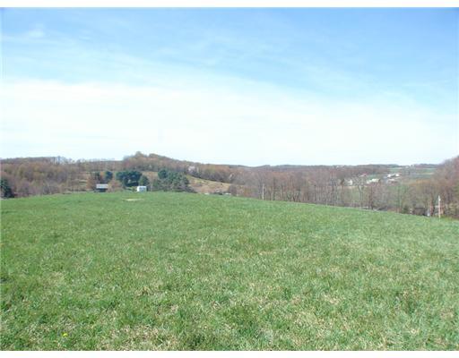Lot 8 Coffman Road Acme, PA 15610 - Photo 8 of 11 Land/Lot.