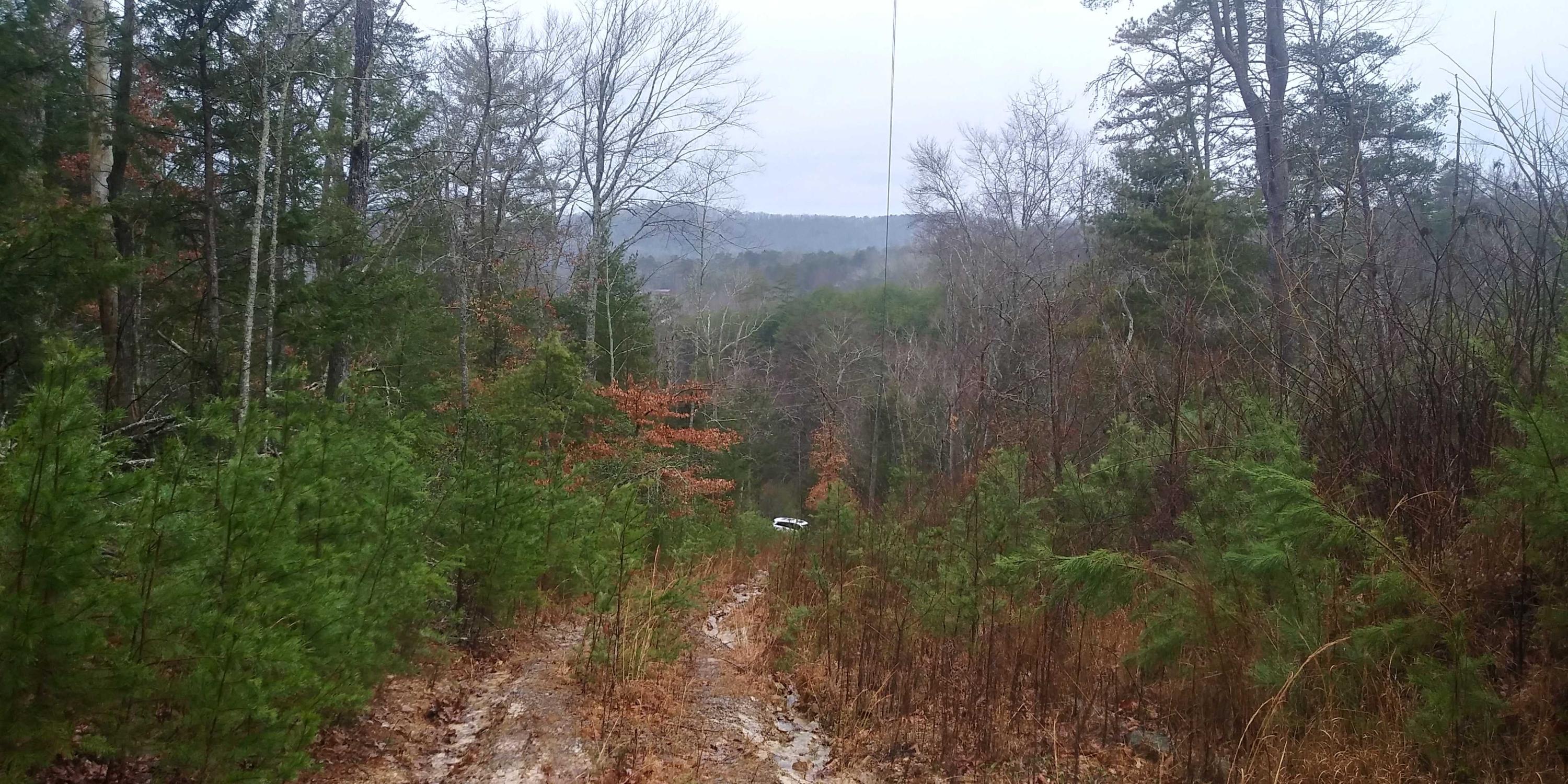 Lot 8 Leo Sharp Road Sevierville, TN 37862 - Photo 5 of 7 20200224_091926_HDR