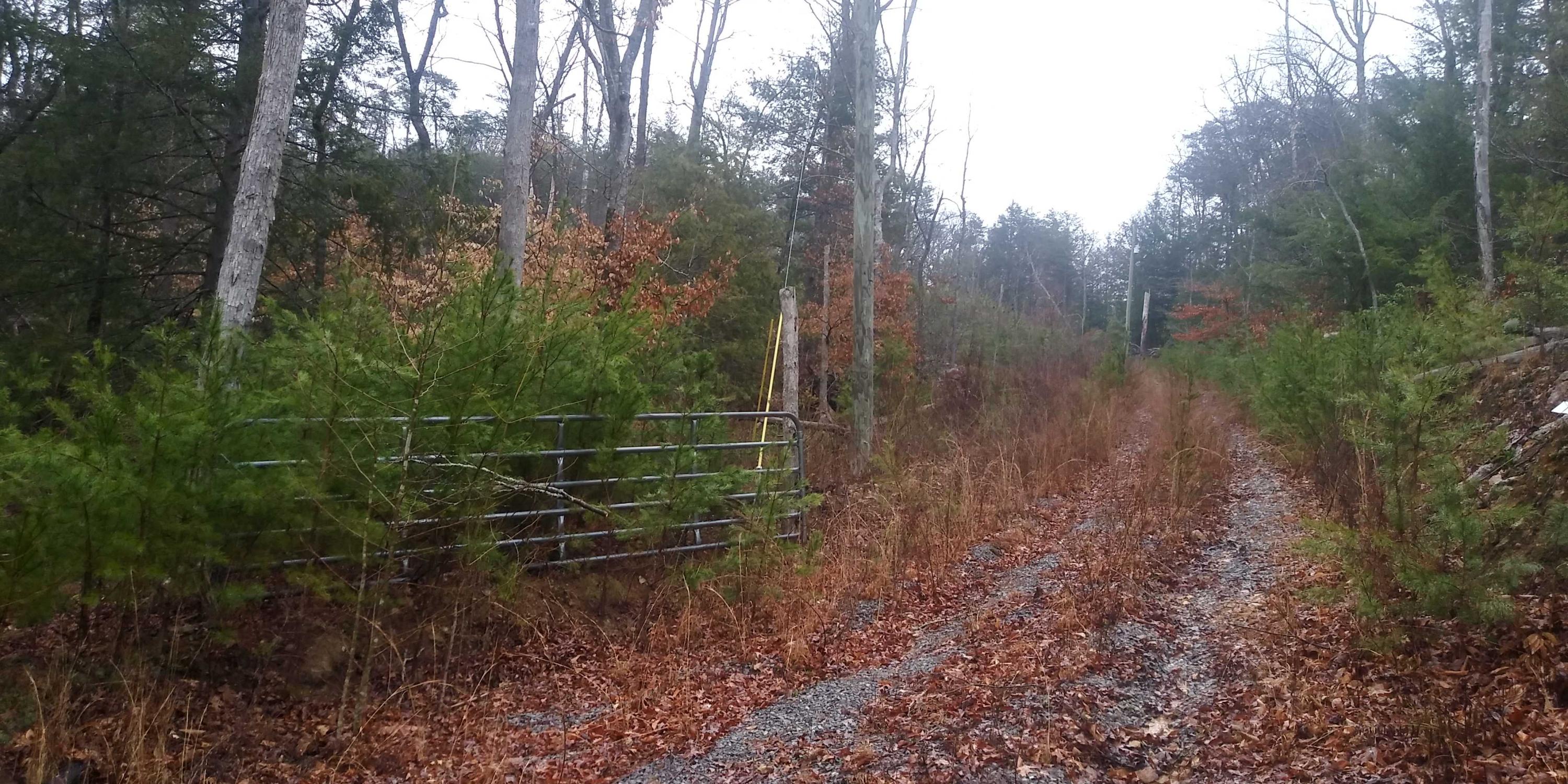 Lot 8 Leo Sharp Road Sevierville, TN 37862 - Photo 6 of 7 20200224_092131_HDR