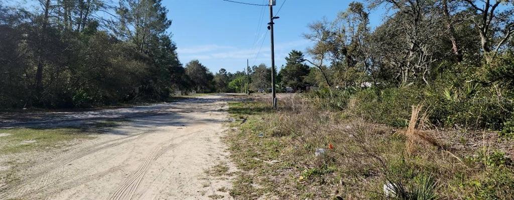 Myrtle Street Paisley, FL 32767 - Photo 2 of 3 a view of a yard with a tree