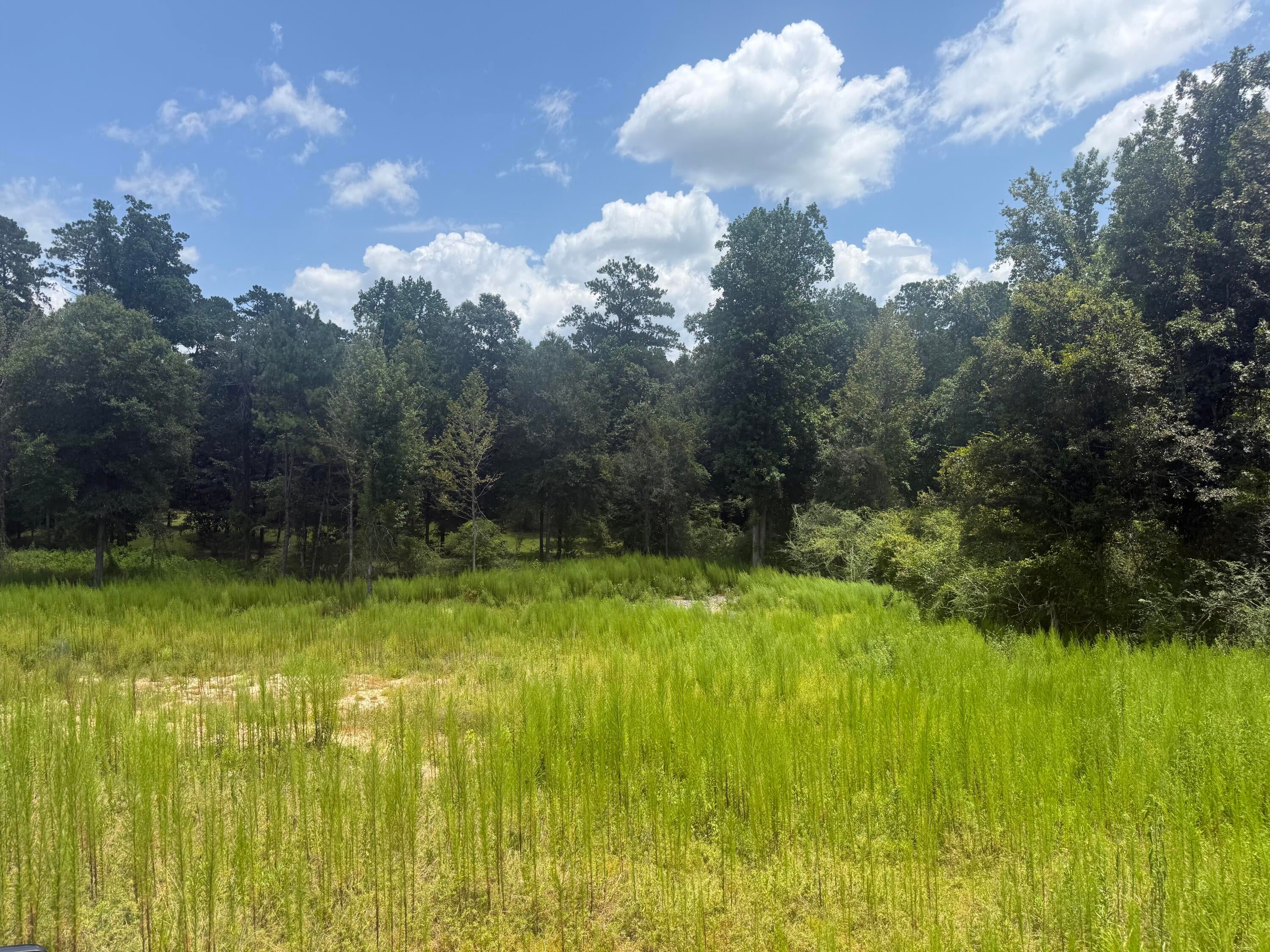 88 Pine Ridge Road Columbia, MS 39429 - Photo 7 of 12 Gallery Image 7
