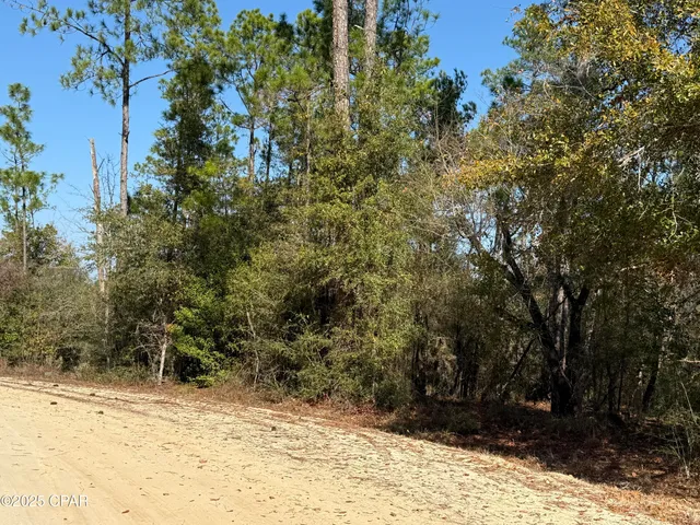 $10,000 | 1 Anderson Drive, Alford, FL 32420