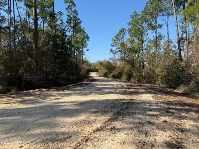 $10,000 | 1 Anderson Drive, Alford, FL 32420