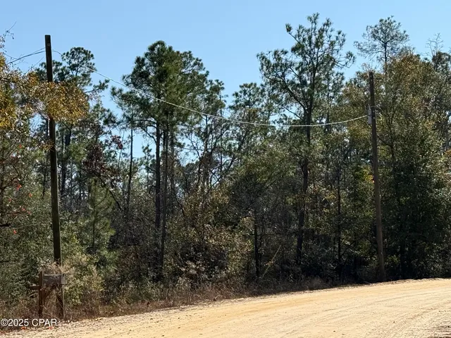 $10,000 | 1 Anderson Drive, Alford, FL 32420