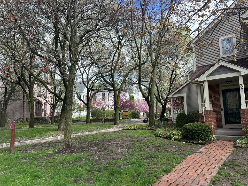 36 Adams Street Rochester, NY 14608 - Photo 2 of 25