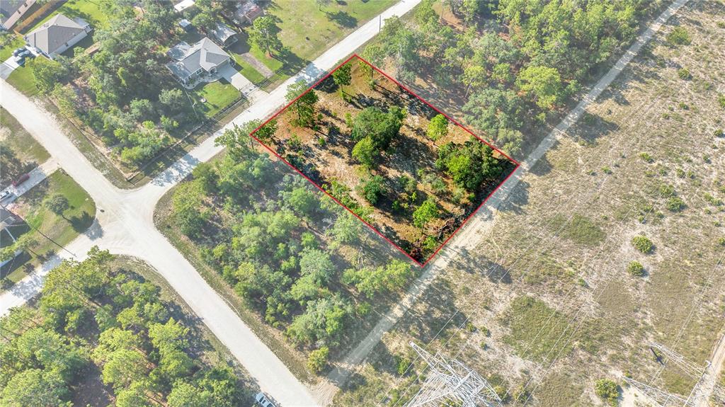 0 Condor Road Brooksville, FL 34614 - Photo 6 of 19